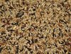 Canaries feeder without rapeseeds   1 kg