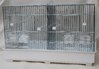 breeding cage with partition, meshwire basement 58 x 32 37 cm