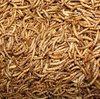 Dried mealworms 500g