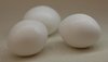 Plastic toy eggs for Budgies